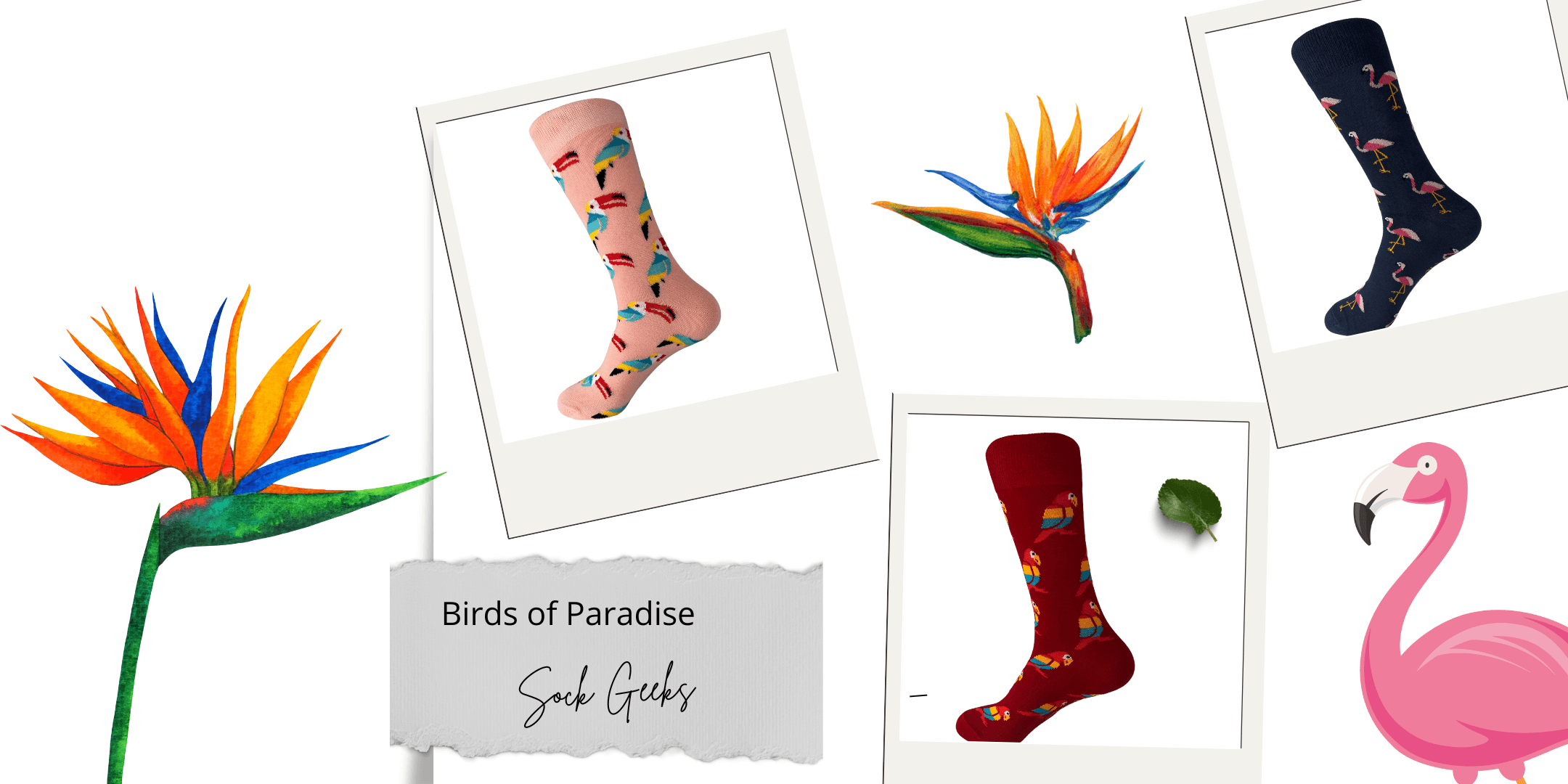 Birds of Paradise socks | Sock Geeks | tropical bird socks | high-quality cotton socks | 200-needle count | vibrant sock designs | playful footwear | durable fashion socks | unique sock collection | casual and formal wear