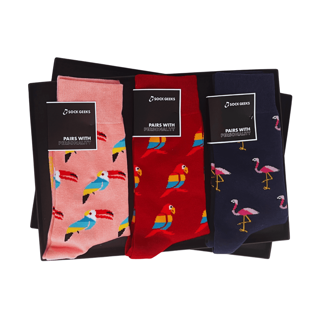 Birds of Paradise Collection | Sock Geeks | vibrant socks | stylish socks | cotton socks |sock geeks